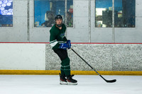 HS hockey 2025