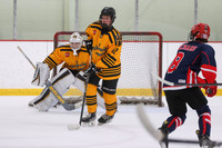 Bruins 2025