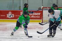 Lady Everblades