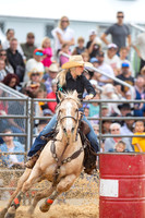 Rodeo Barrel Samples