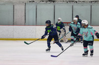 Novice Luck Pucks