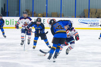 RABBITS 12u