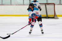 24 Gonzales FWHL 2026