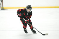 TEAM - 10U Mallards