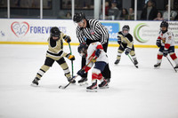 PPP SAT 1120 8U FL Panthers vs Bandits