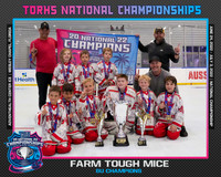Championship Photos